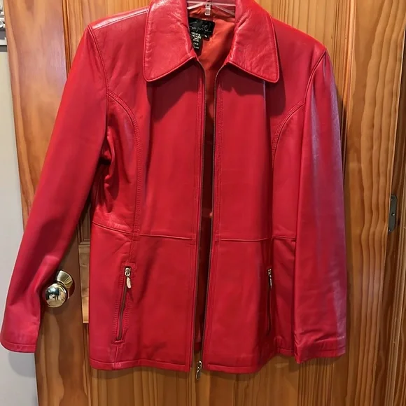 BEAUTIFUL Suzelle Leather Jacket - Picture 3 of 12